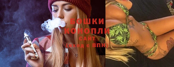винт Каменка