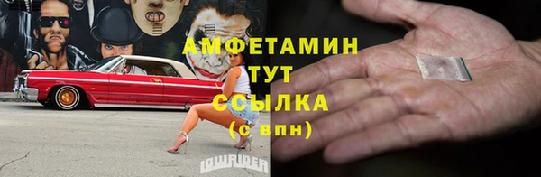 винт Каменка