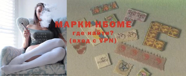 винт Каменка