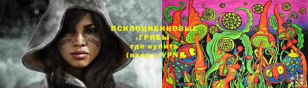 винт Каменка