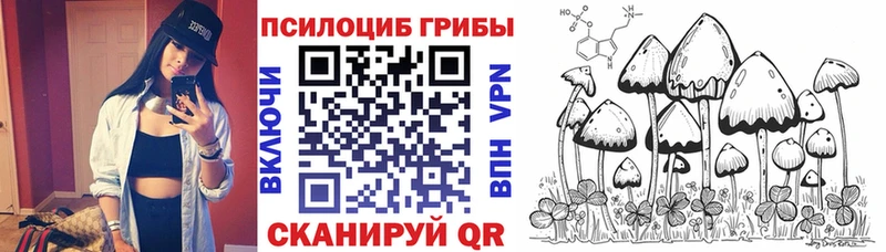 Галлюциногенные грибы MAGIC MUSHROOMS  Купить где  Павлово 